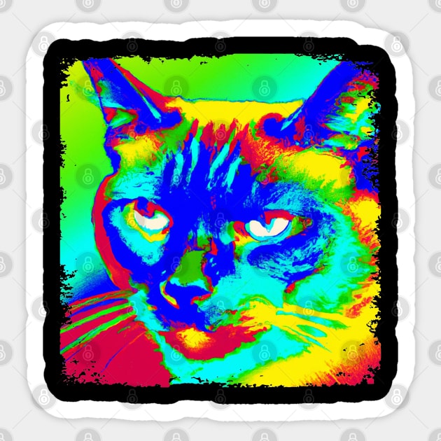 Snowshoe Pop Art - Cat Lover Gift Sticker by PawPopArt